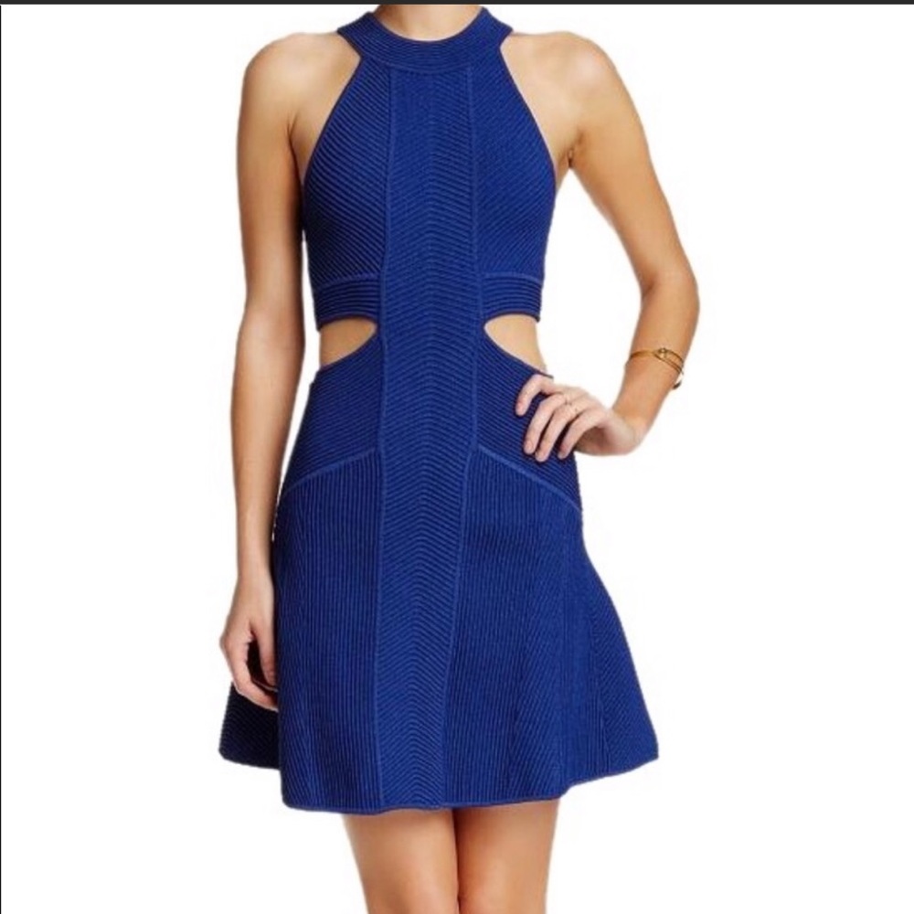 Ronny Kobo Mireille Dress